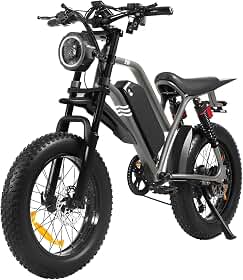 Bicicleta Elétrica A05 Aro 20 Pneu Gordo 1000W Motor Cubo Traseiro, Bateria Removível 48V 20Ah, Suspensão Dianteira e Traseira, Freio a Disco Hidráulico, para Adultos Off-Road Urbano