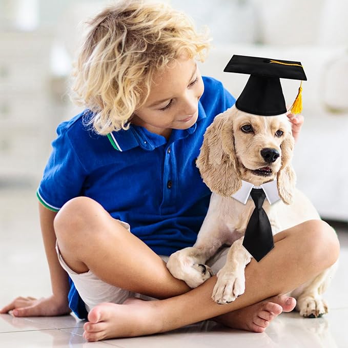 Gorro de Graduación para Perro FOIMAS con Borla Amarilla miniatura 5