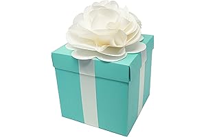 Tiffany and Co Aqua Blue Robin Egg Wedding Centerpiece Favor Box with...