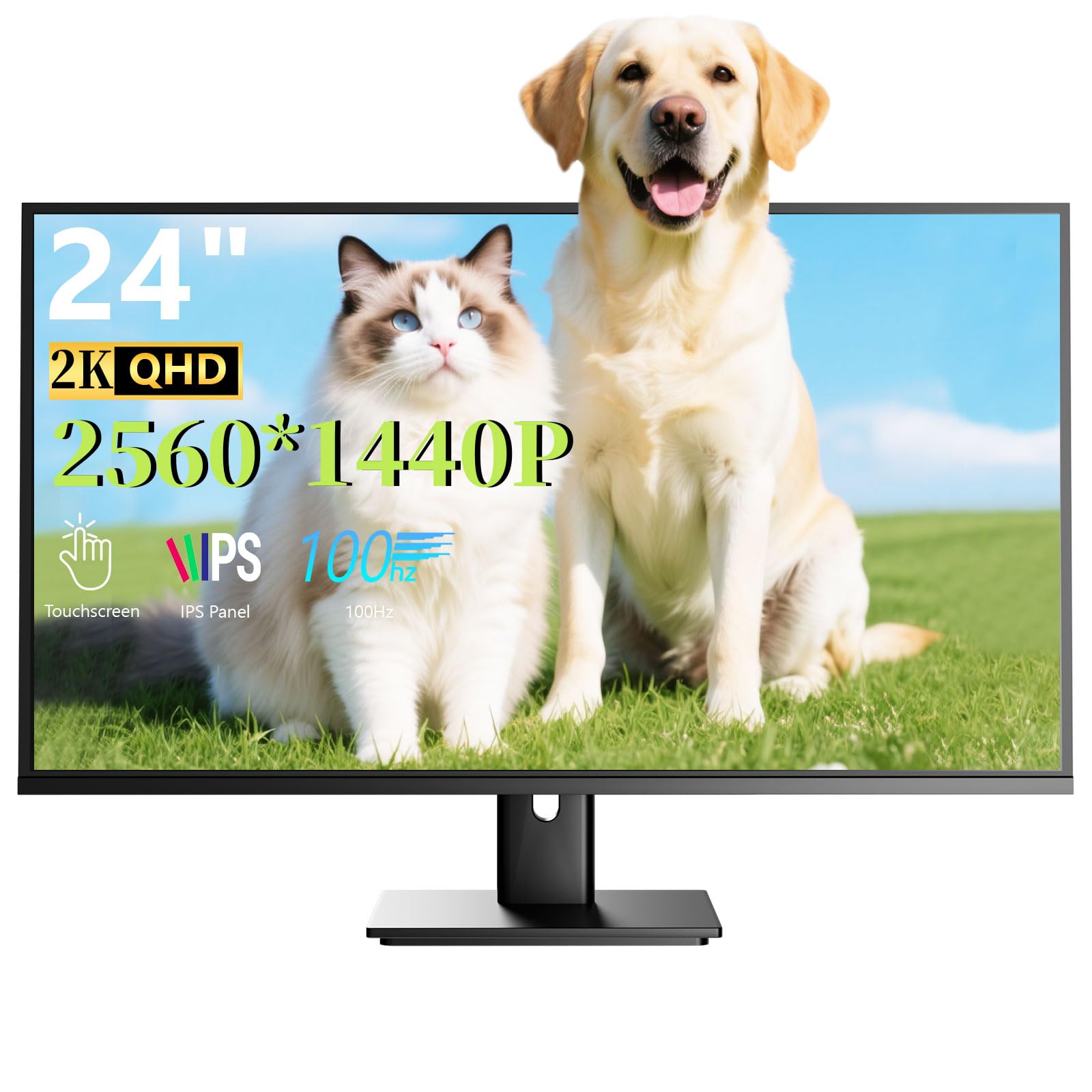 Pisichen Touchscreen-Monitor mit DP- und HDMI-Anschlüssen