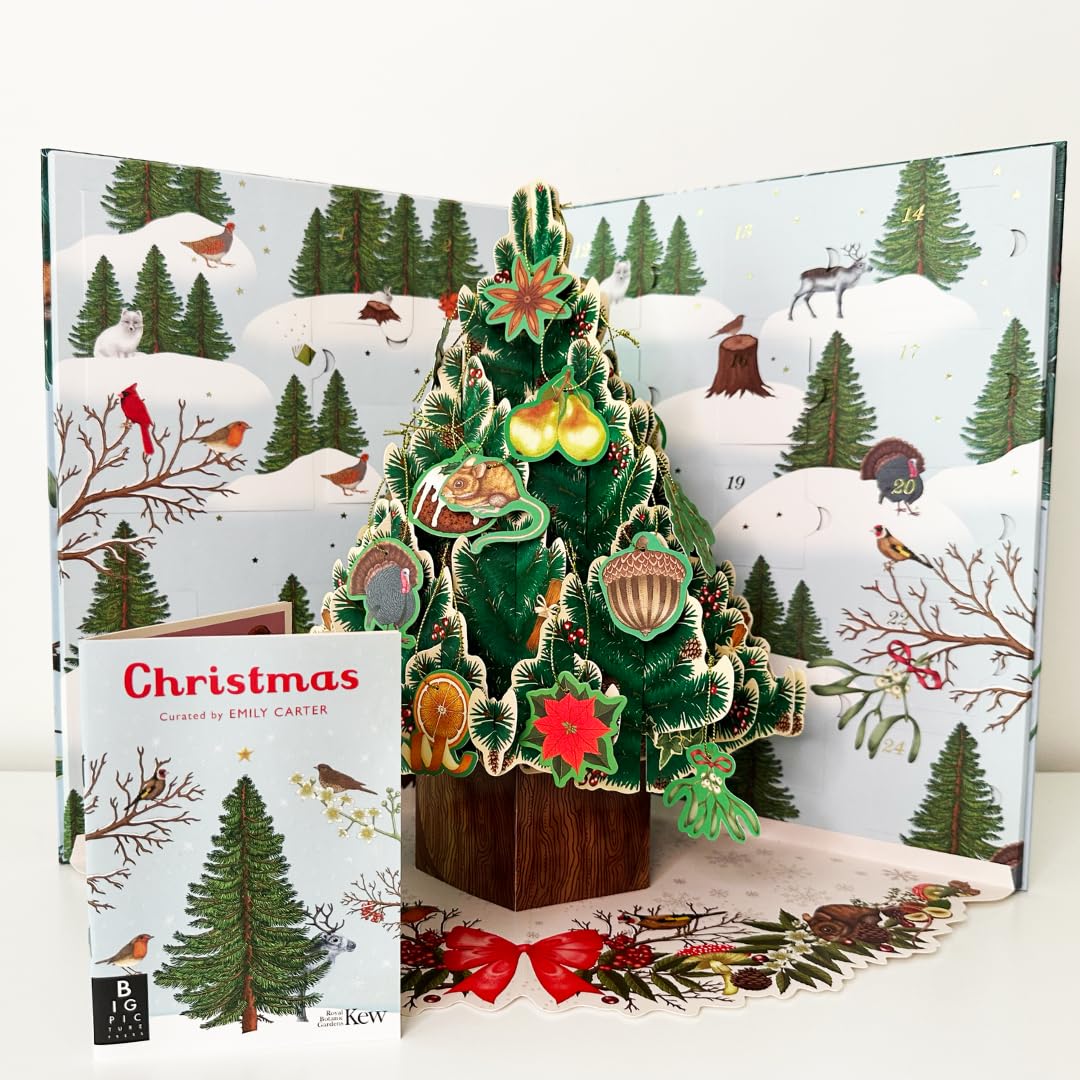 Welcome to the Museum: A Christmas Pop-Up Advent Calendar