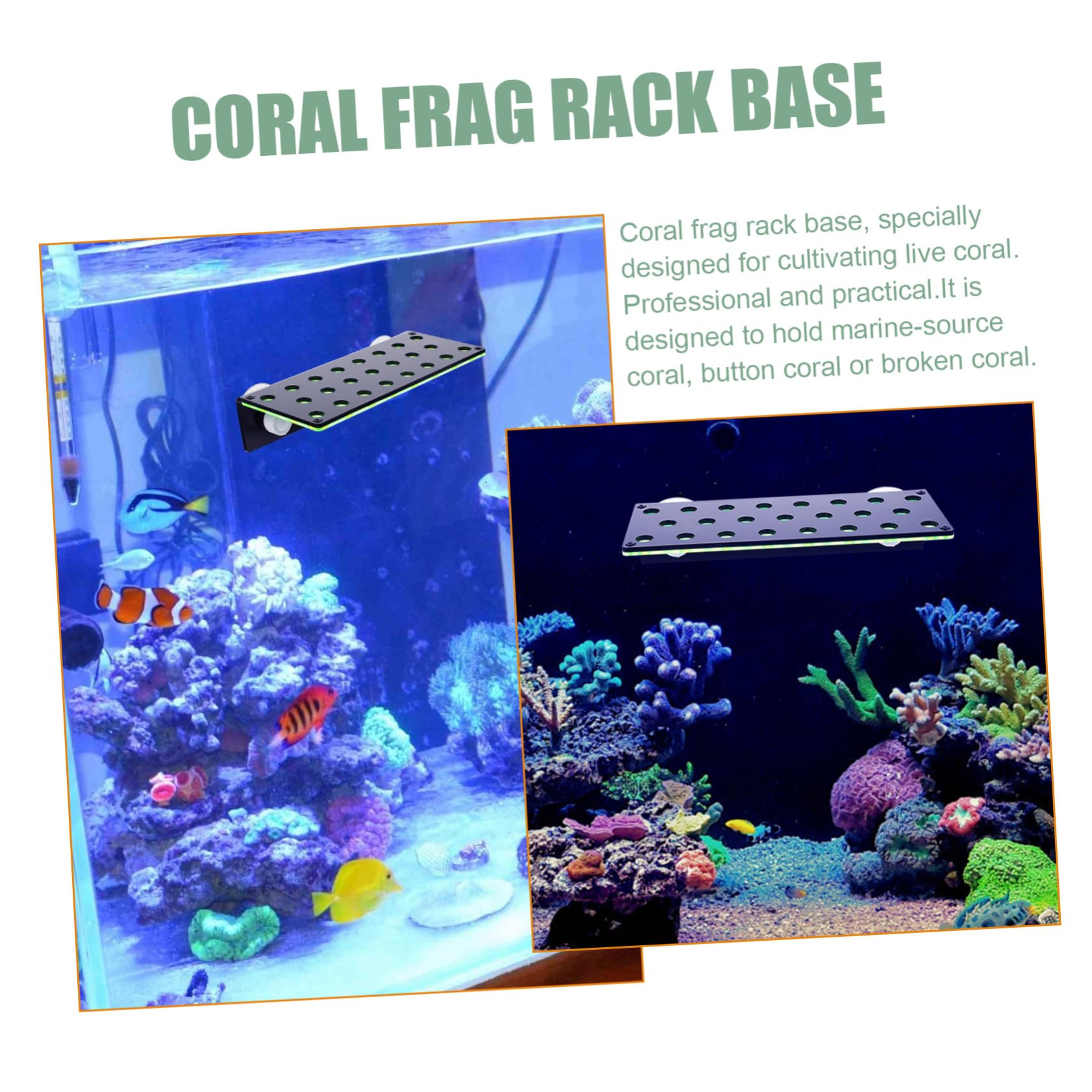 YARNOW Support à Boutures de Corail Aquarium 23 Trous Double Couche | Acrylique, pour Coraux Marins et Fragments Cassés, Placement et Fixation Ferme