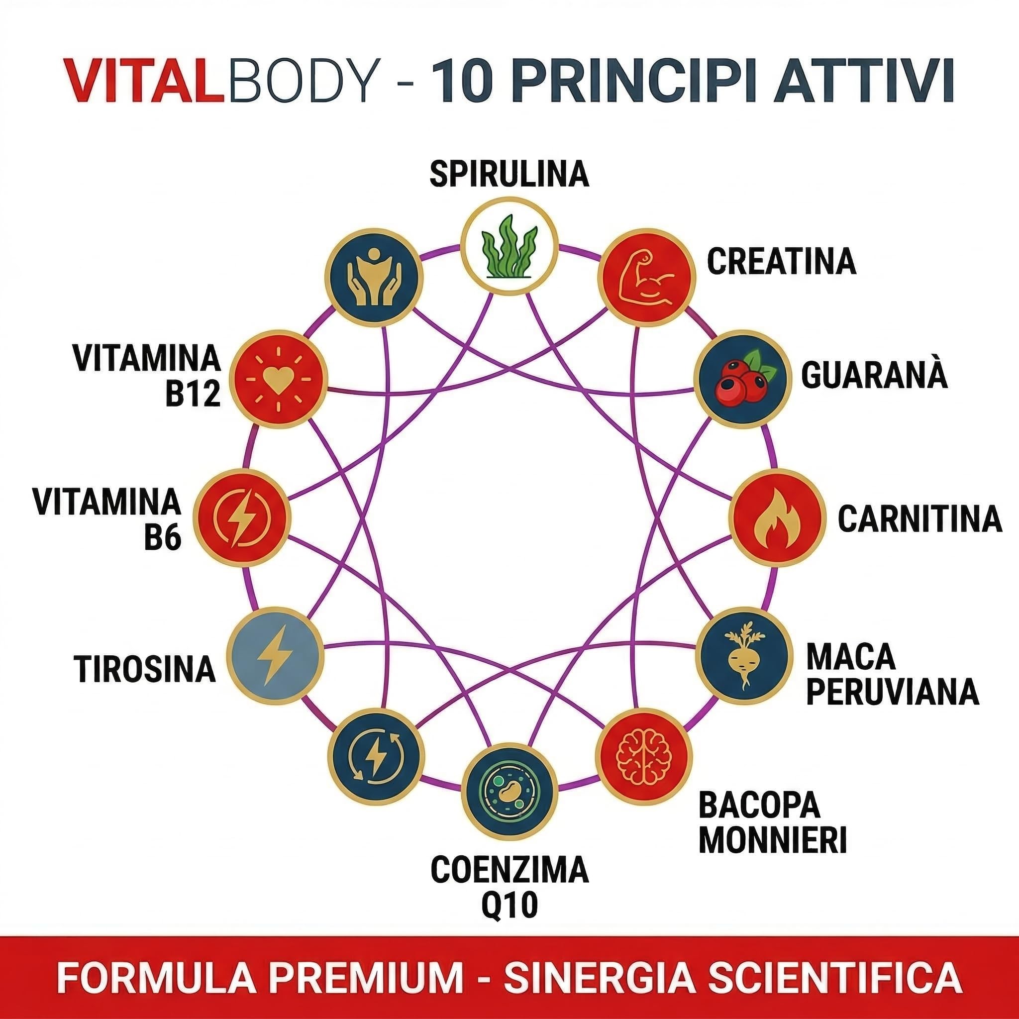 MALOVI Vitalbody 200 Gr Integratori Energia Stanchezza Fisica E Mentale, Integratore Memoria E Concentrazione,Con Spirulina Creatina Carnitina Guarana Maca Bacopa Monnieri Coenzima Q10 Vitamina B6 B12