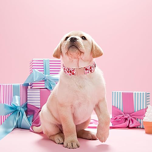 Miniatura 4 de Maca Bates - Collar de San Valentín para perro, cómodo y suave, collar de perro con hebilla de metal, ajustable, regalo para el día de San Valentín