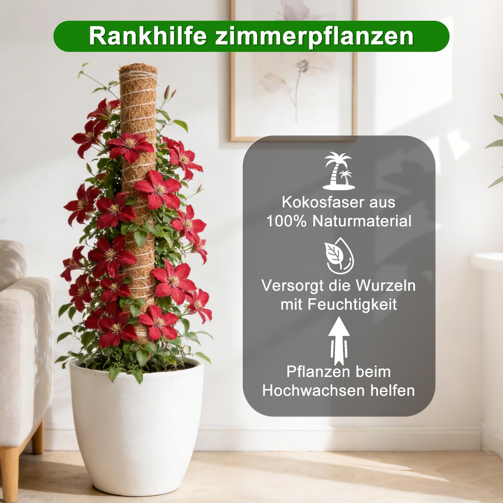 HOVIN Soporte trepador para Monstera de coco – 4 tutores extensibles de musgo, 40 cm – Para plantas trepadoras en interiores y jardines
