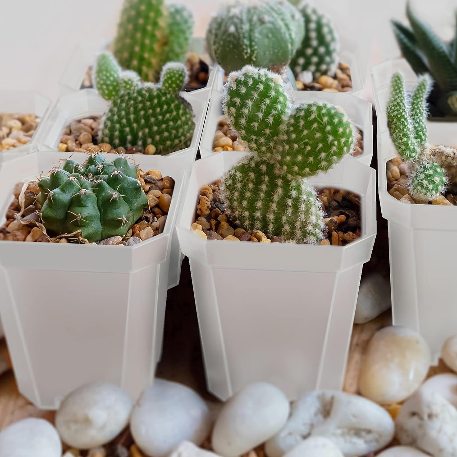 foxany 3" Clear Nursery Pots, 30 Pcs Thick Plastic Plant Pot, Square Flower Planting Pot, Seedling Planter Seed Starter Pots with Saucers - Image 7