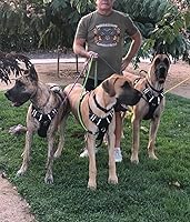 Vista 6 de MayPaw Correa de perro de cuerda resistente, correa de nailon para mascotas de 6/8/10 pies, mango acolchado suave, correas gruesas para perros Negro