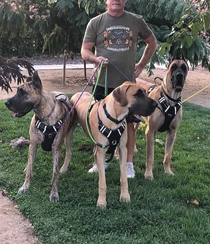 Miniatura 6 de MayPaw - Correa para perro de cuerda resistente, correa de nailon para mascotas de 6810 pies, asa acolchada suave, correa de plomo gruesa para