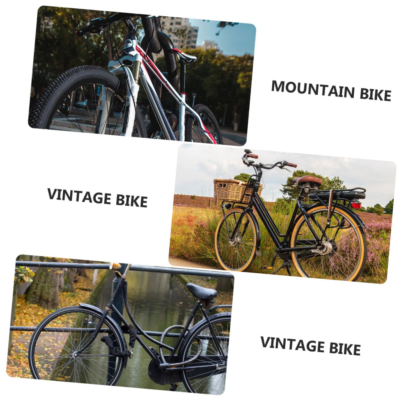 POPETPOP Estrattore per Guarnitura in Metallo Attrezzo per Estrazione Pedivella Dispositivo per Movimento Centrale Scanalato Denti Adatto Biciclette da Strada Mountain Bike e Corsa
