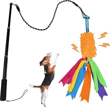 ASOCEA Flirt Pole with Tug Toy for Small Medium Large Dogs Outdoor Training | Flirt pole with squeaky rope toy for interactive chase & Tug of War, providing outdoor exercise for small to large dogs