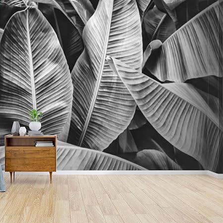 Amazon.com: Wall Mural Tropical Banana Palm Leaf Black and Whites and