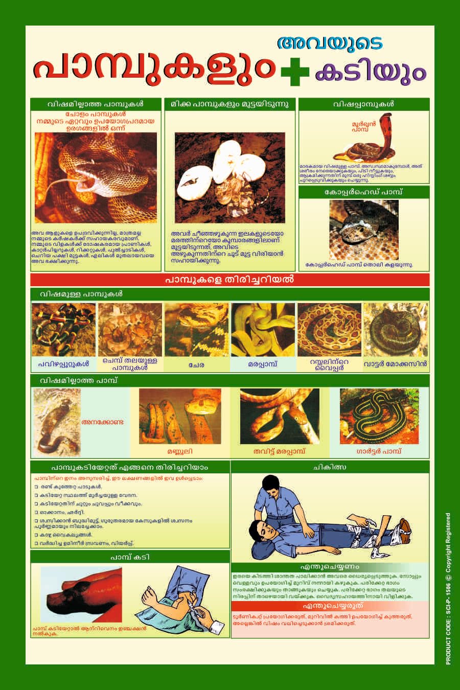 Malayalam Snake Awareness Educational Wall Poster – Illustrated Nature & Information Art for Schools, Homes, Colleges & Community Spaces (Star Flex, 2x3 Feet)-image-3