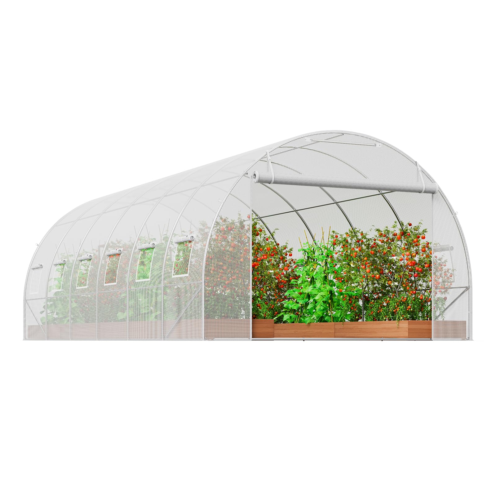 VEVOR Serre Tunnel Jardin, 590x295x198 cm, Tente Abri Plantes avec Cadre en Acier Galvanisé, Couverture en PE Blanche, Porte à Glissière Enroulable, 12 Fenêtres, pour Extérieur Cultiver Légumes Fleurs