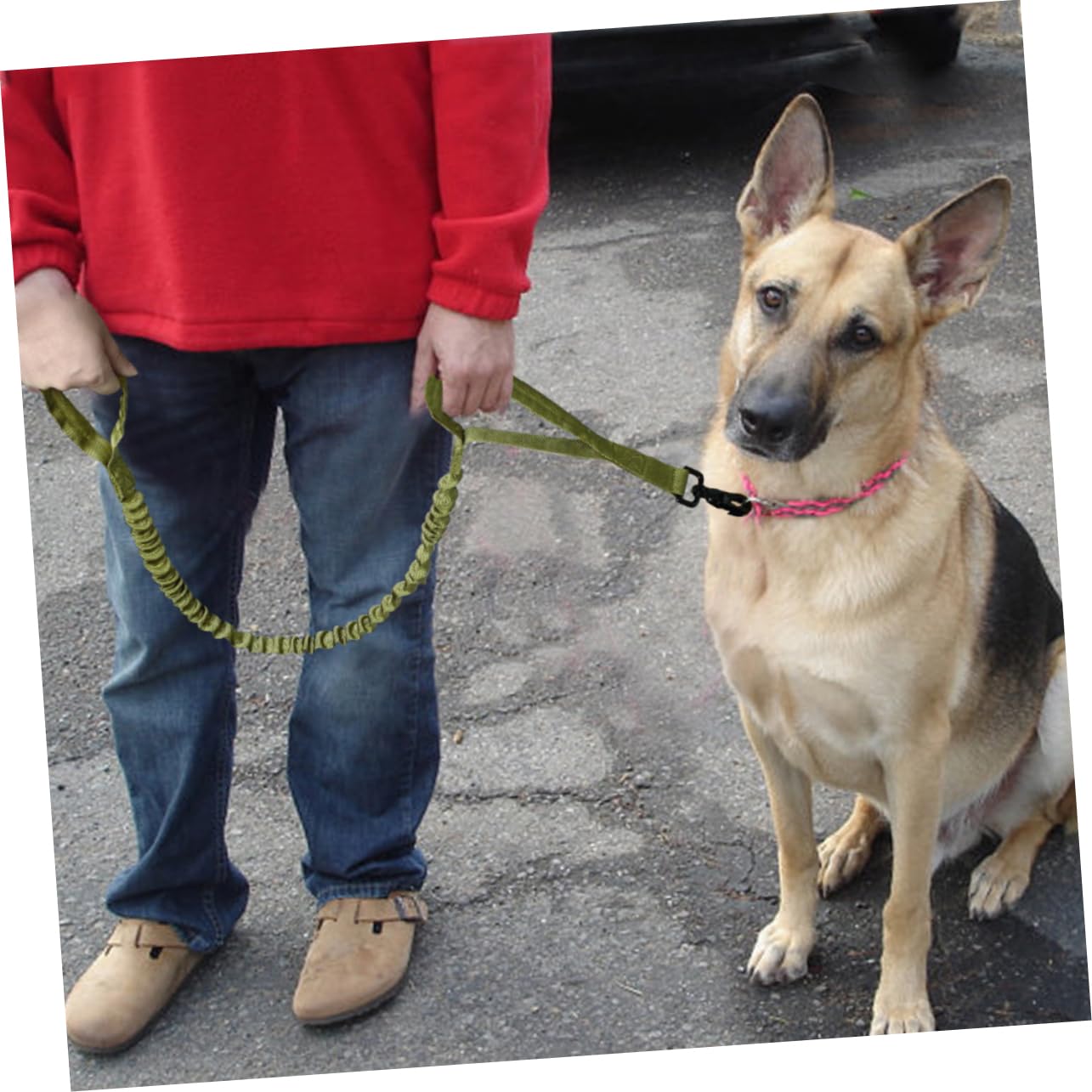 Kisangel 3pièces Laisse Entraînement pour Chien Réglable Nylon Élastique Couleur Verte Parfaite pour Formation Activités Extérieures