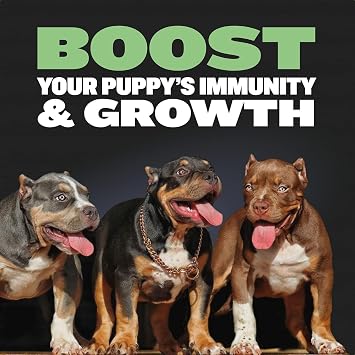 Bully Max Puppy Food 24/14 High Protein & Growth Formula - Dry Dog Food with Lamb & Rice for Small & Large Breed Puppies - Natural, Slow-Cooked, Sensitive Stomach Pet Food - 15lbs (3 bags, 5 lbs each)