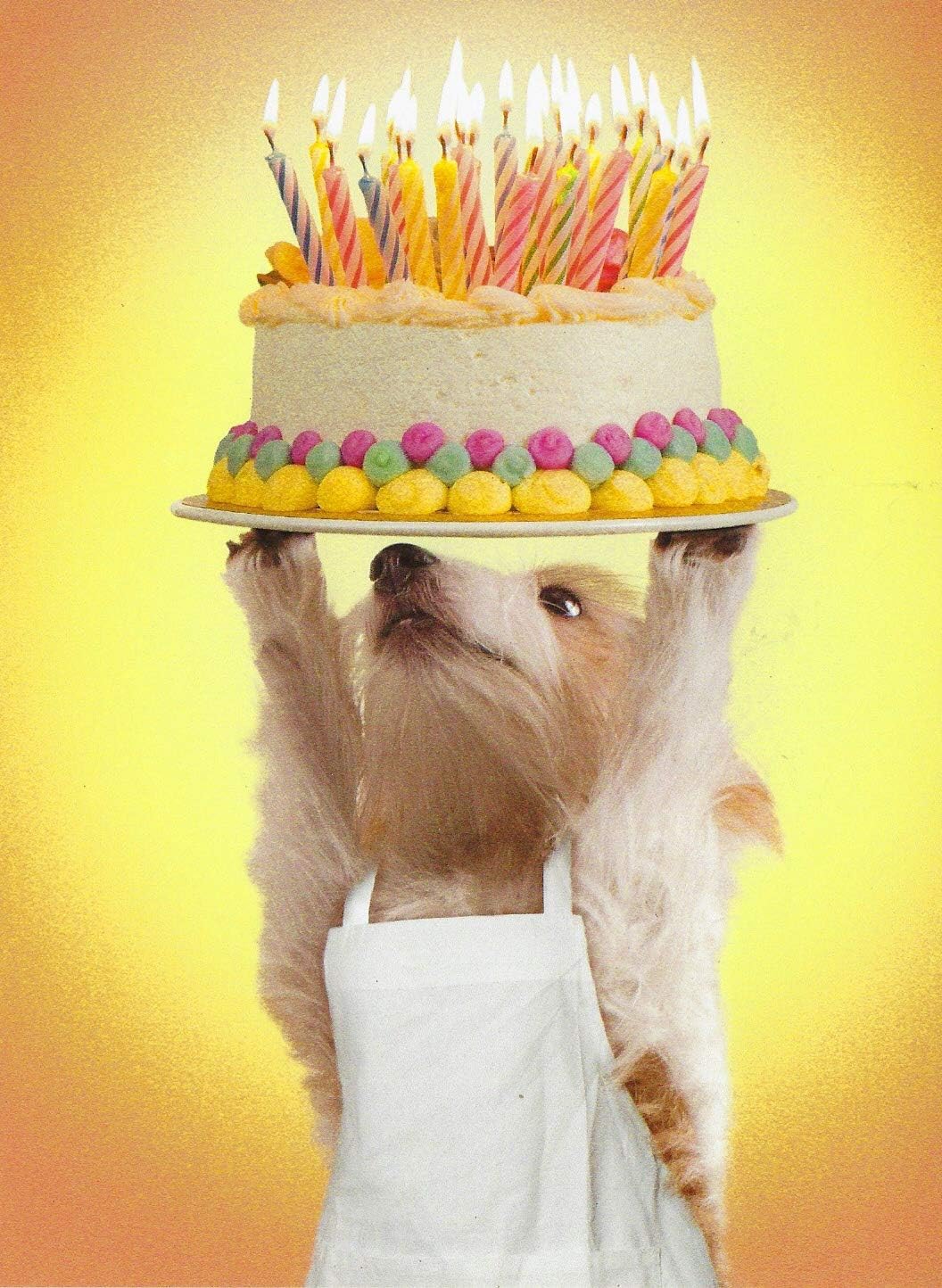 Leanin' Tree Birthday Card - Little dog bearing cake