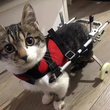 Numb Rear Leg Cat Wheelchair, Aluminum Pet Wheelchair Walker, Rehabilitation Aid Wheel Cart for Large/Medium/Small Cats Size XS