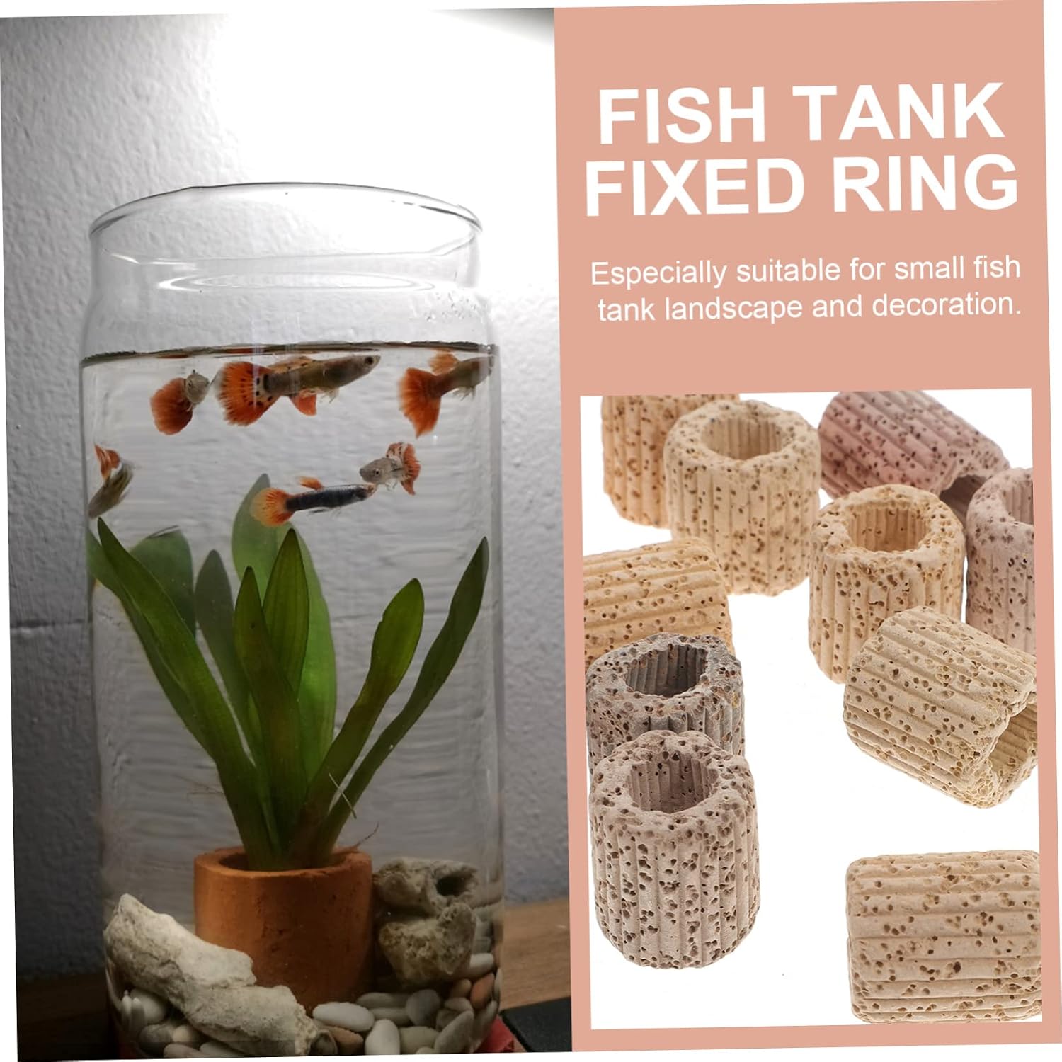 TEHAUX 20pcs Plant Ornament Holders Aquarium Accessories Fish Landscape Accessories Aquarium Ornament Fixed Ring Habitat Suction Cups Fish Tank Fish