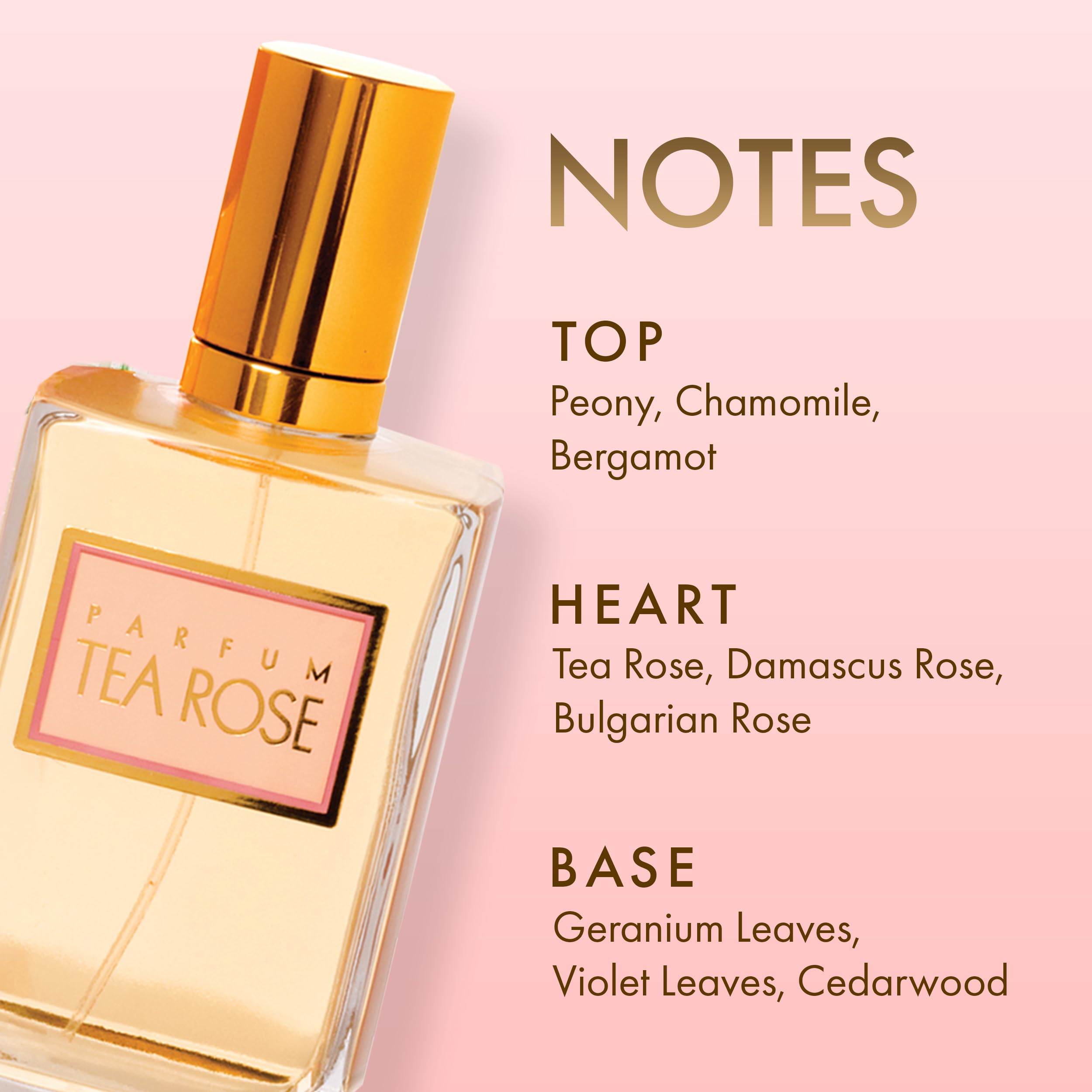 TEA ROSE Perfum 120 ml Eau de Parfum Natural Spray by TEA ROSE Pink Eau de Parfum