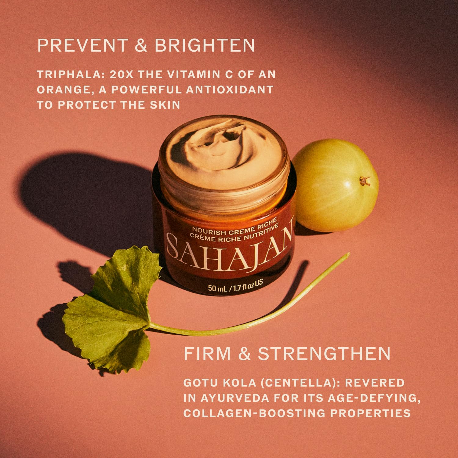 Sahajan Nourish Crème Riche with Vitamin C + Centella | Clinically-Proven Clean Ayurvedic Anti-Aging Rich Facial Moisturizer | Fine Lines & Wrinkles, Firming, Anti-Aging | 1.7 fl oz - Image 2