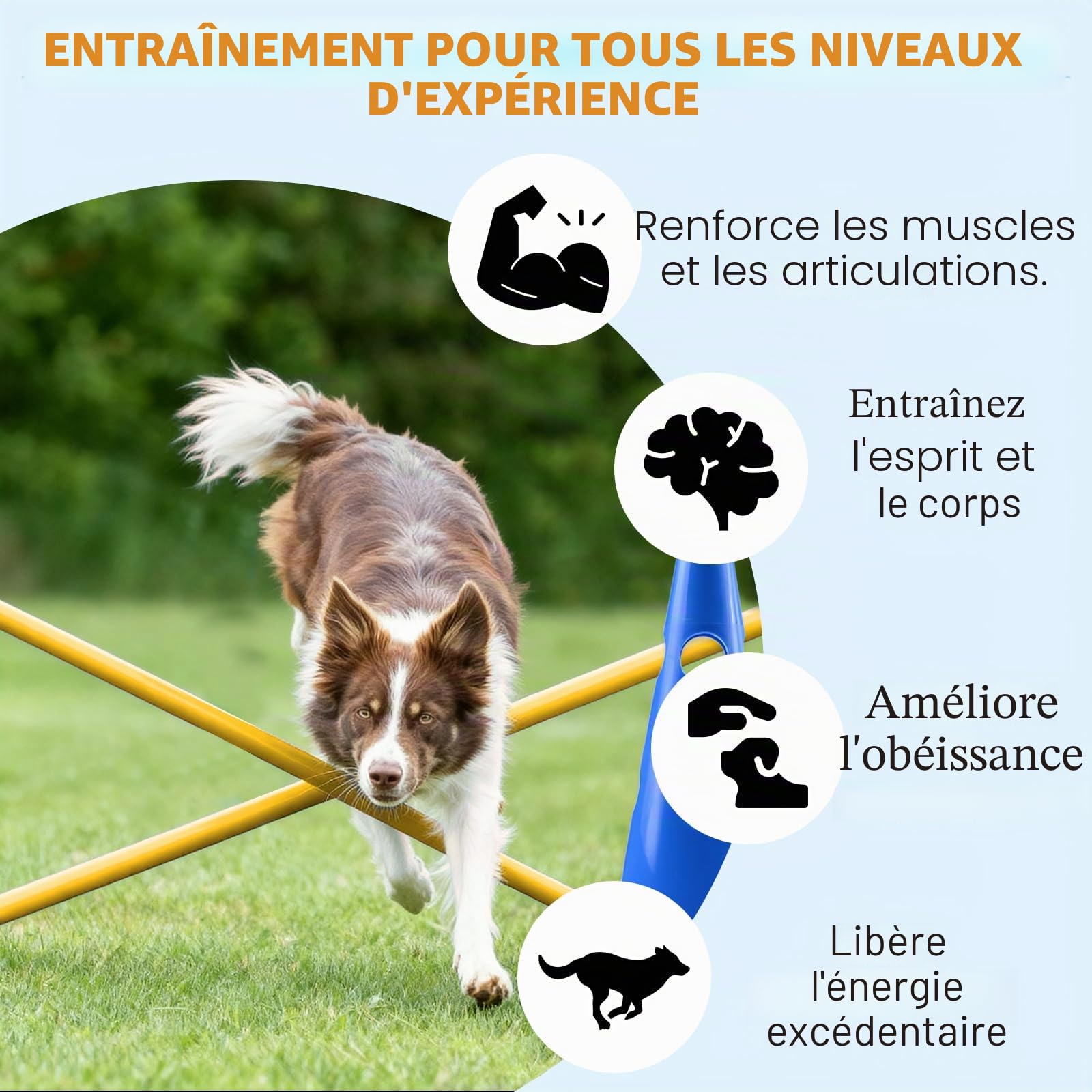 Agility Kit de barrière d'agilité pour Chien - pour Petit Chien - Cavaletti - Obstacles pour Chevaux - Parcours canin - Cavaletti réglables - Hauteur : 32 cm - 8 Barres de 80 cm de Long