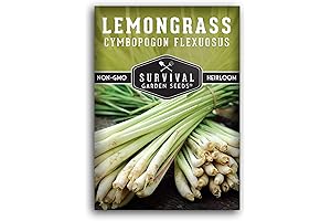 Survival Garden Seeds: Non-GMO Asian Lemongrass for Planting