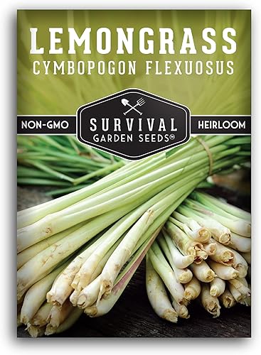 Miniatura 7 de Survival Garden Seeds - Semilla de limoncillo para plantar - 2 paquetes con instrucciones para plantar y cultivar plantas de limoncillo asiático