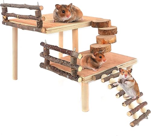 Juguetes de escalada para hámster de madera de dos niveles con puente, madera de manzana, juguetes masticables para mascotas pequeñas (L)