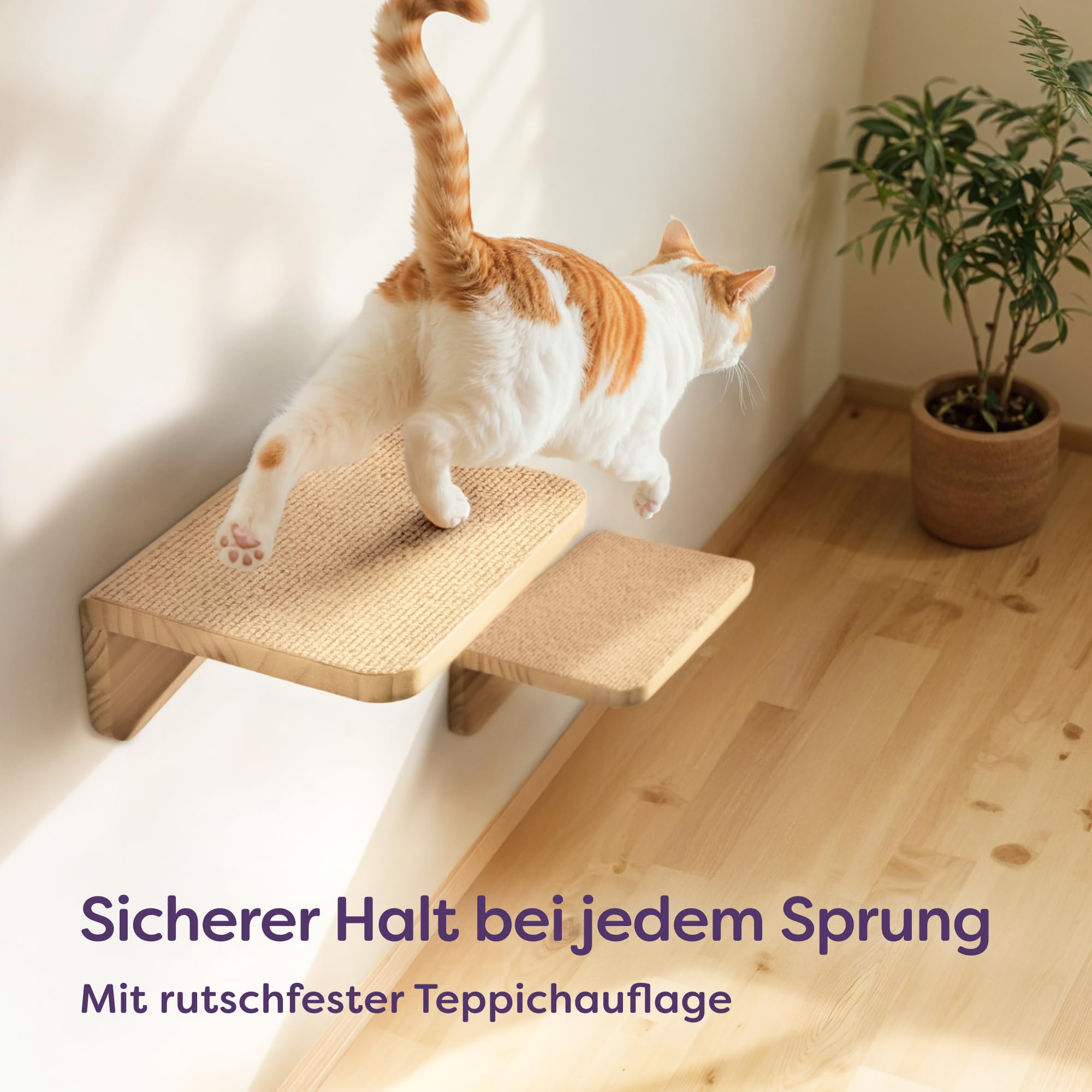 Knupis Katzen Kletterwand Set mit Hängematte & 2X Katzentreppe – massives Kiefernholz, stabile Wandliege bis 30 kg – Für Spielspaß & Gemütlichkeit