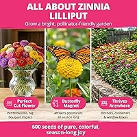 Vista 70 de HOME GROWN Semillas de diente de león para plantar 600 semillas de hierbas medicinales tradicionales (~ 0.01 oz) sin OMG cultivan hojas y flores