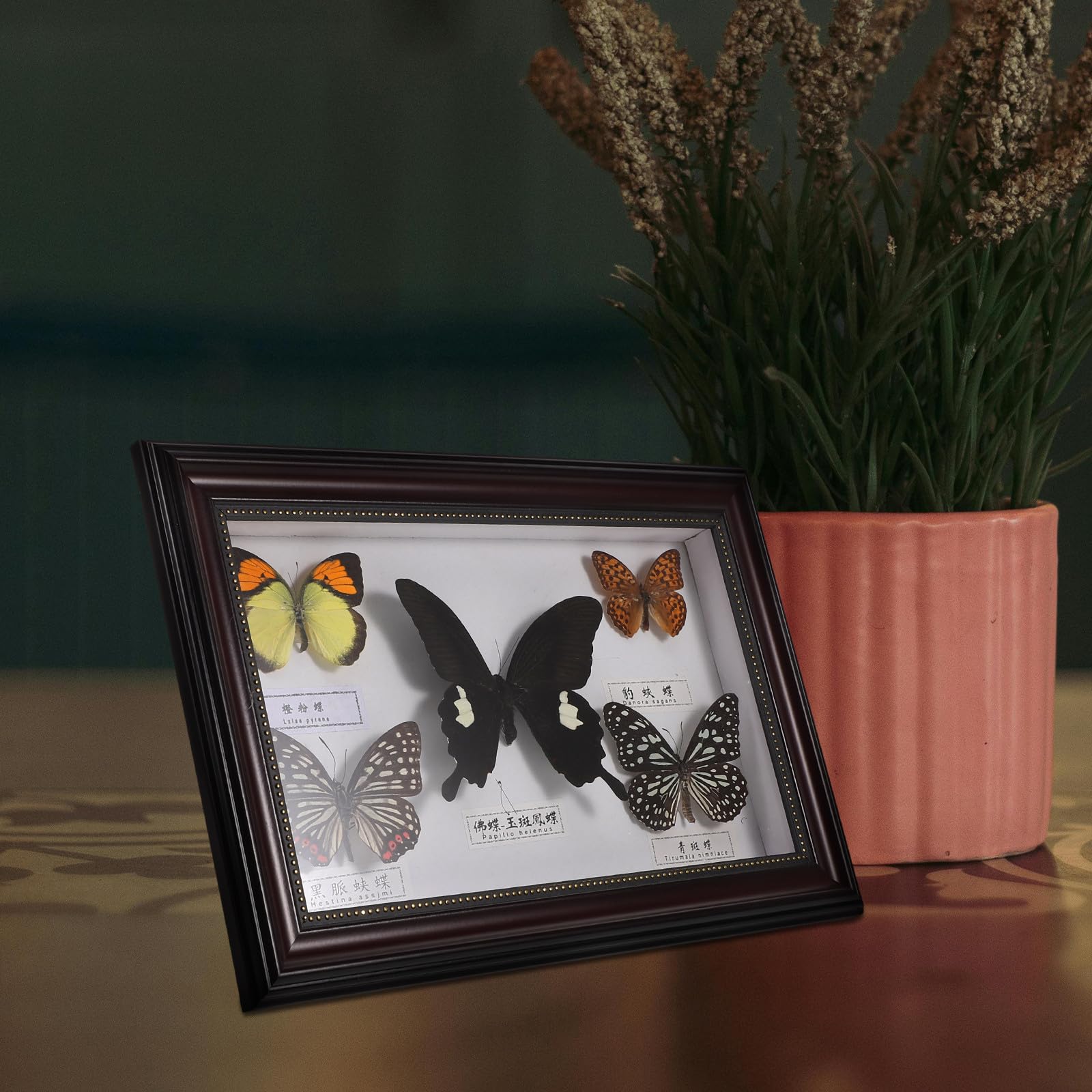 Marco de Fotos Decorativo de Madera Mariposas para Decoración de Pared Hogar, Diseño Práctico y Versátil Estilo Retro y Elegante