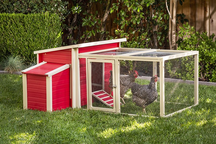 Gallinero Dallas con Parque para 4-6 Aves - ECOFLEX Material sostenible y Duradero - Fácil Montaje Perchas y Ponedero (Rojo)