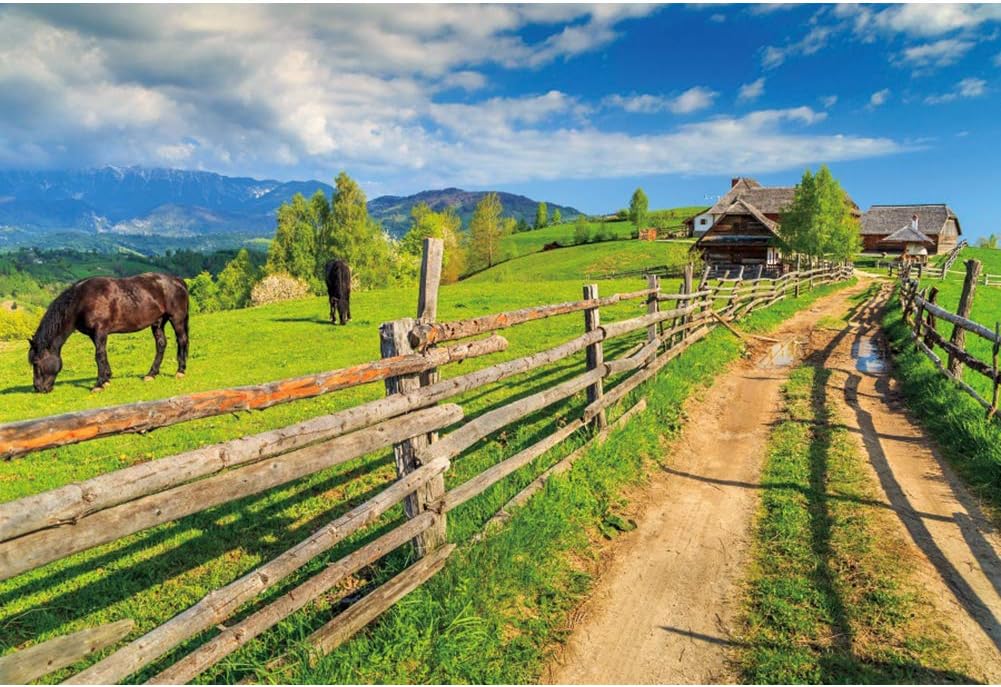 OERJU Pendente de mola de 30 x 25 m cenário de fazenda cenário foto