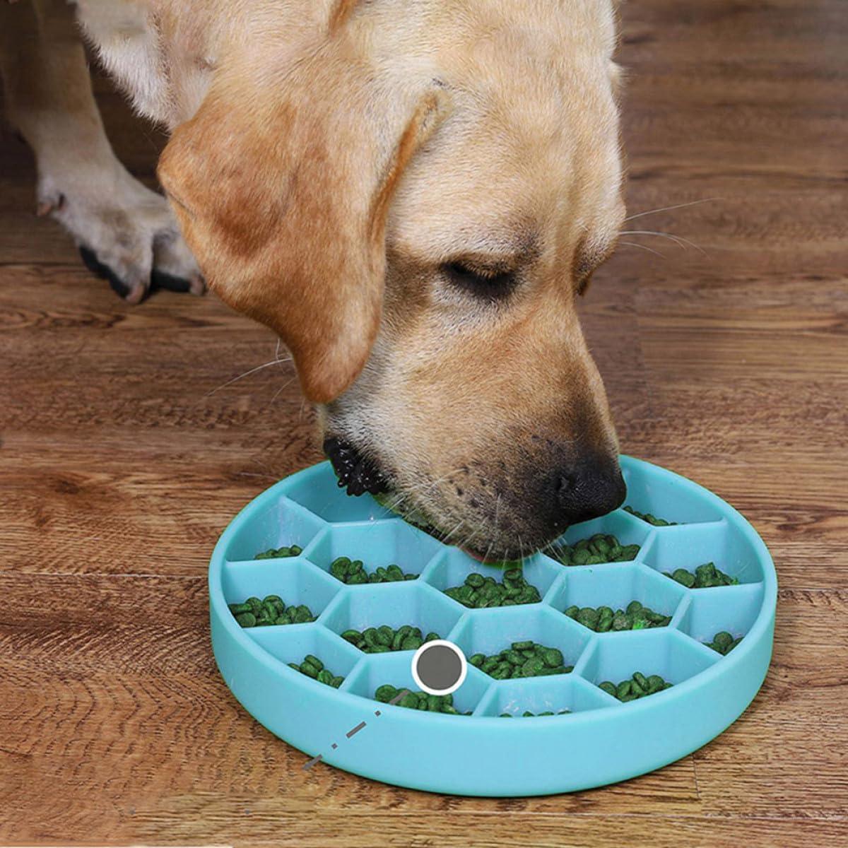 Luxshiny Ciotola Slow Food per Cani Media in Silicone Alimentare Base Antiscivolo, Mangiatoia Lenta Anti-soffocamento per Animali Domestici, per Prevenire Ingozzamento e Indigestione