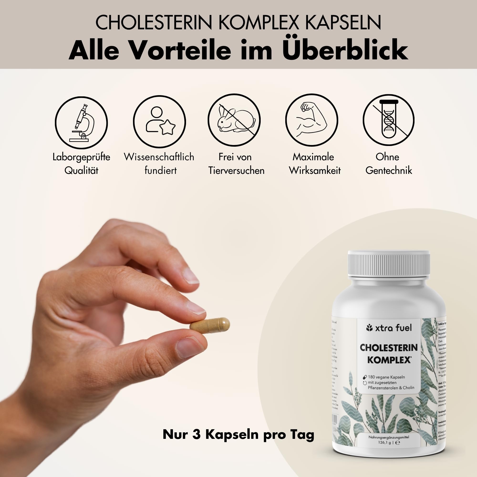 Cholesterin Komplex mit Pflanzensterolen & Cholin – 180 vegane Kapseln (hochdosiert) – Bergamotte, Artischocke & Rotschimmelreis Extrakt mit Monacolin K – vegan & laborgeprüft