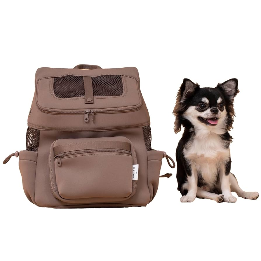 Amazon.co.jp: [citydog/シティドッグ] ネオプレーンバック