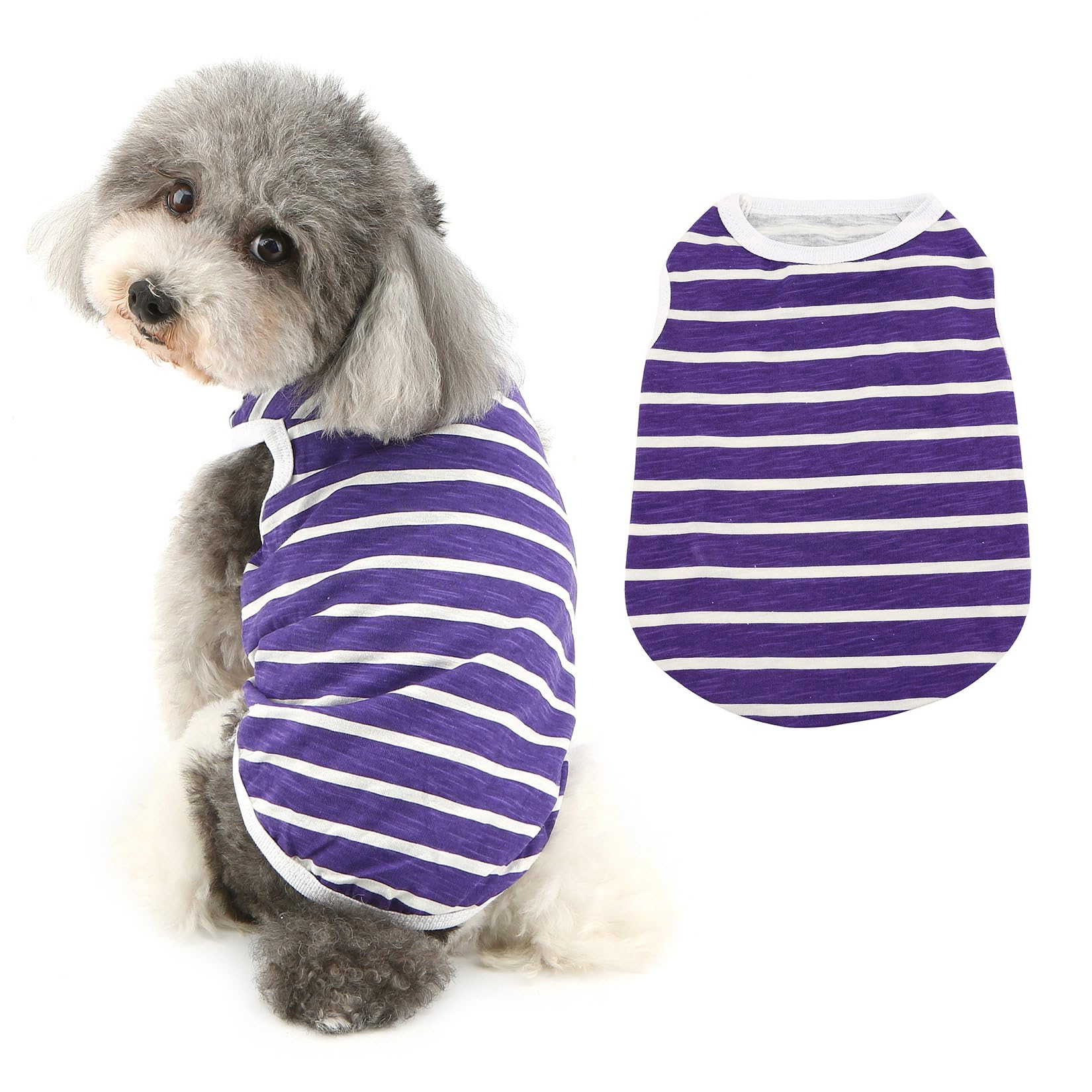 Ropa para gatos transpirable y ligera de verano 8
