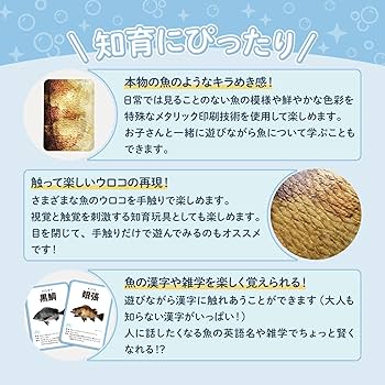 Amazon | 【公式】第4弾 さかなかるたプラス 海の釣魚版 6枚組