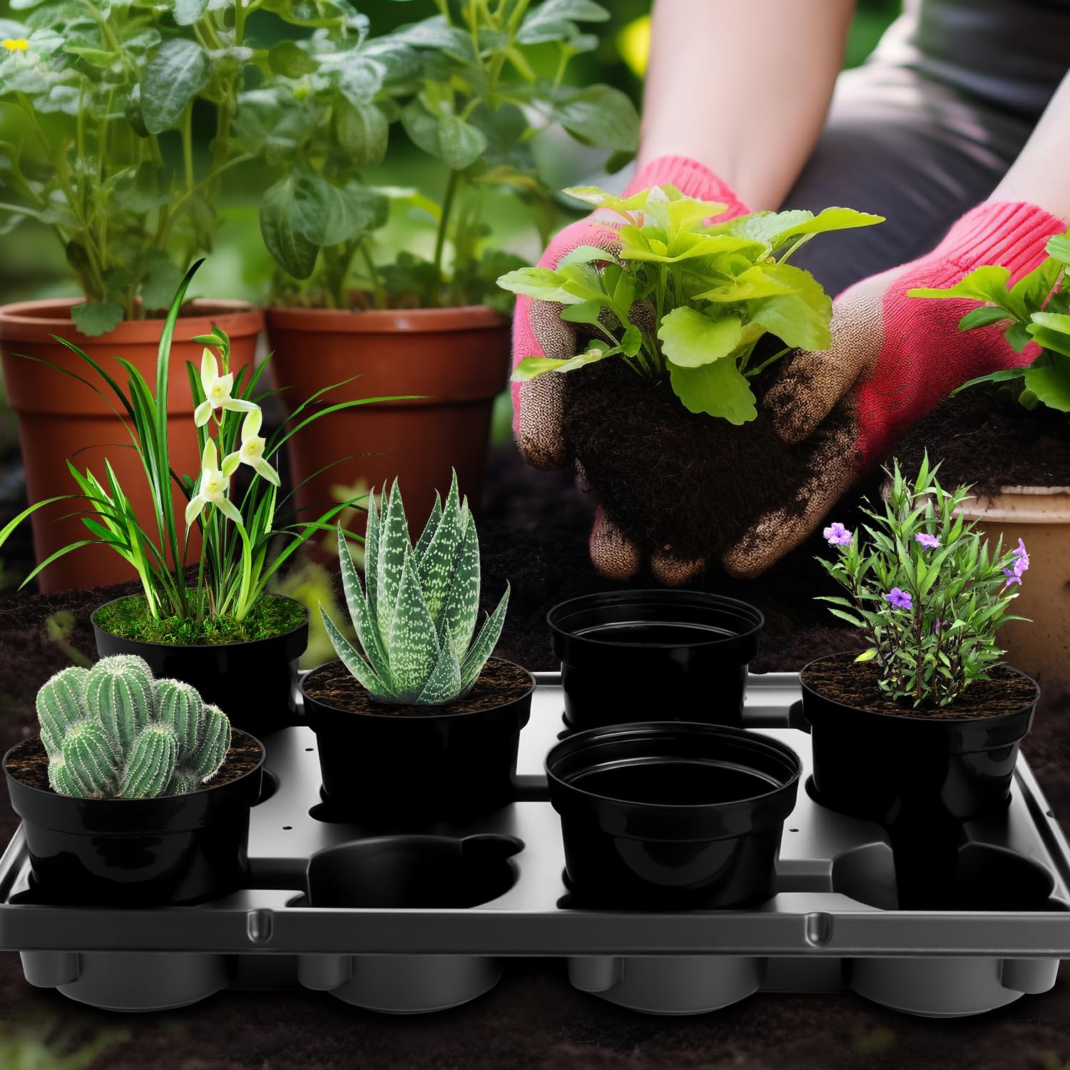 Snapklik.com : 12 Cell Round Nursery Pots Trays 8 Pack, Sturdy Carrying ...