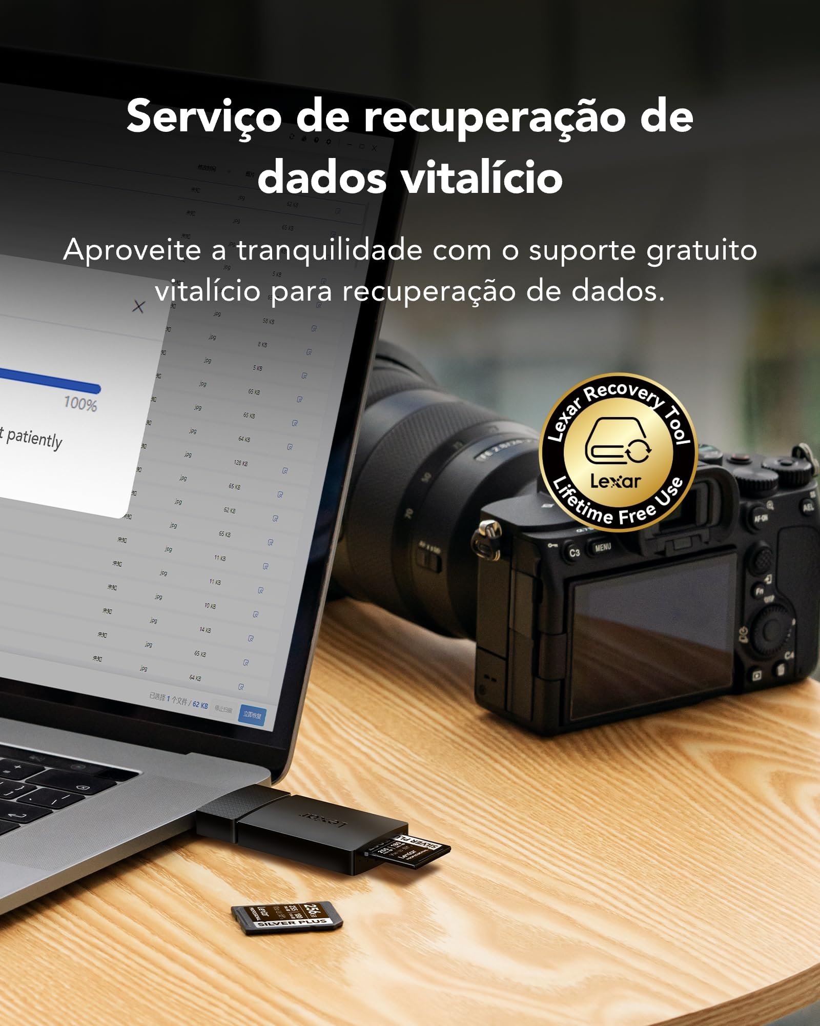 Lexar Scheda di memoria professionale Silver Plus SDXC UHS-I da 256 GB