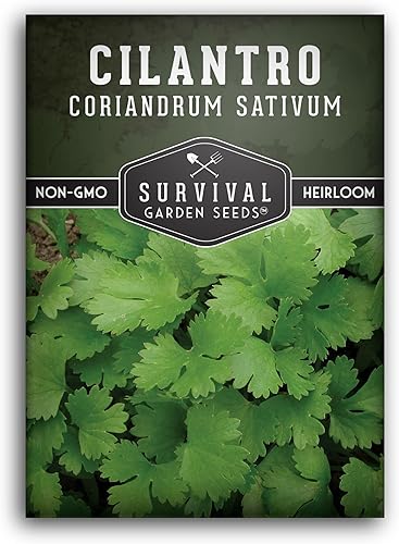 Miniatura 10 de Survival Garden Seeds - Semilla de cilantro para plantar - Paquete con instrucciones para plantar y cultivar Coriandrum Sativum en tu huerto casero