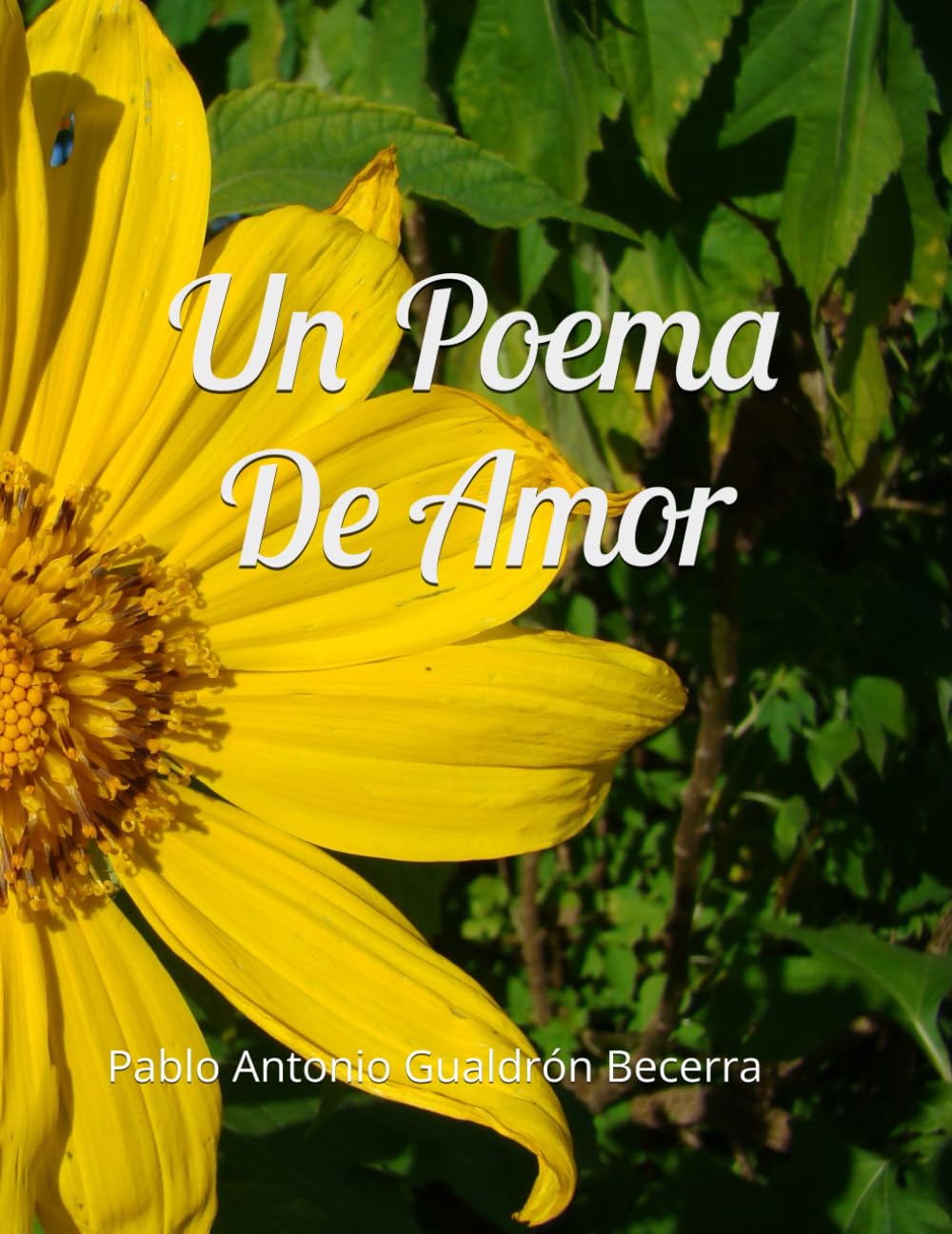 Un Poema De Amor