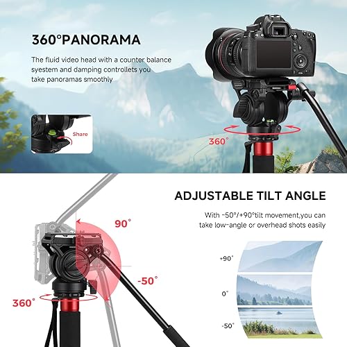 Miniatura 4 de Avella CD324 - Kit de monopie de video de fibra de carbono, con cabezal fluido y pies extraíbles, carga máxima de 71 pulgadas, 13.2 libras para