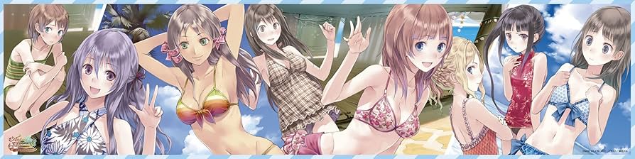 ロロナ、トトリ、メルル勢ぞろい！超ドデカマイクロファイバークロス 2025年最新】ロロナのアトリエ 新品の人気アイテム - メルカリ