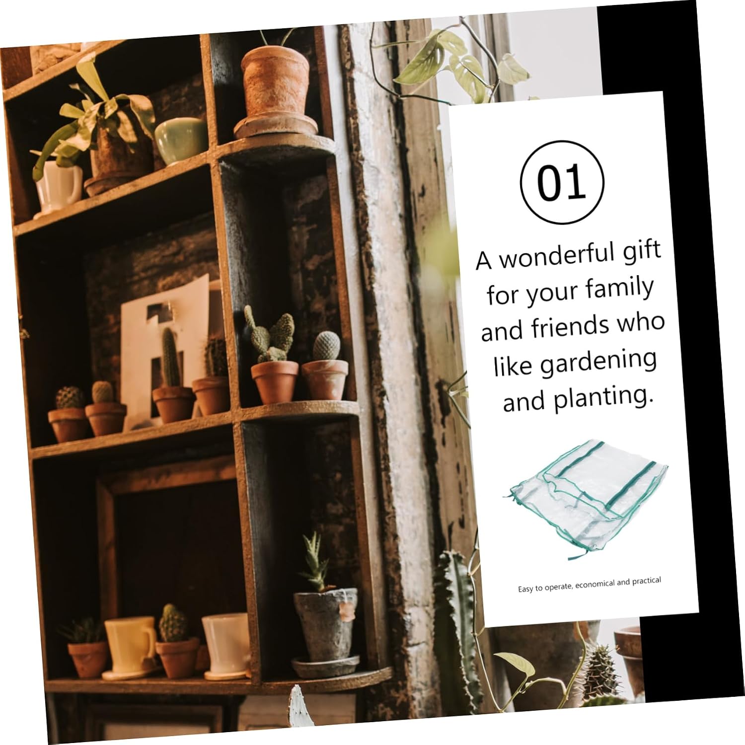 Toddmomy Greenhouse PVC Cover for Gardening Four Tier Protective Mini Greenhouse Zippered Window and Sturdy Design for Indoor/Outdoor Use