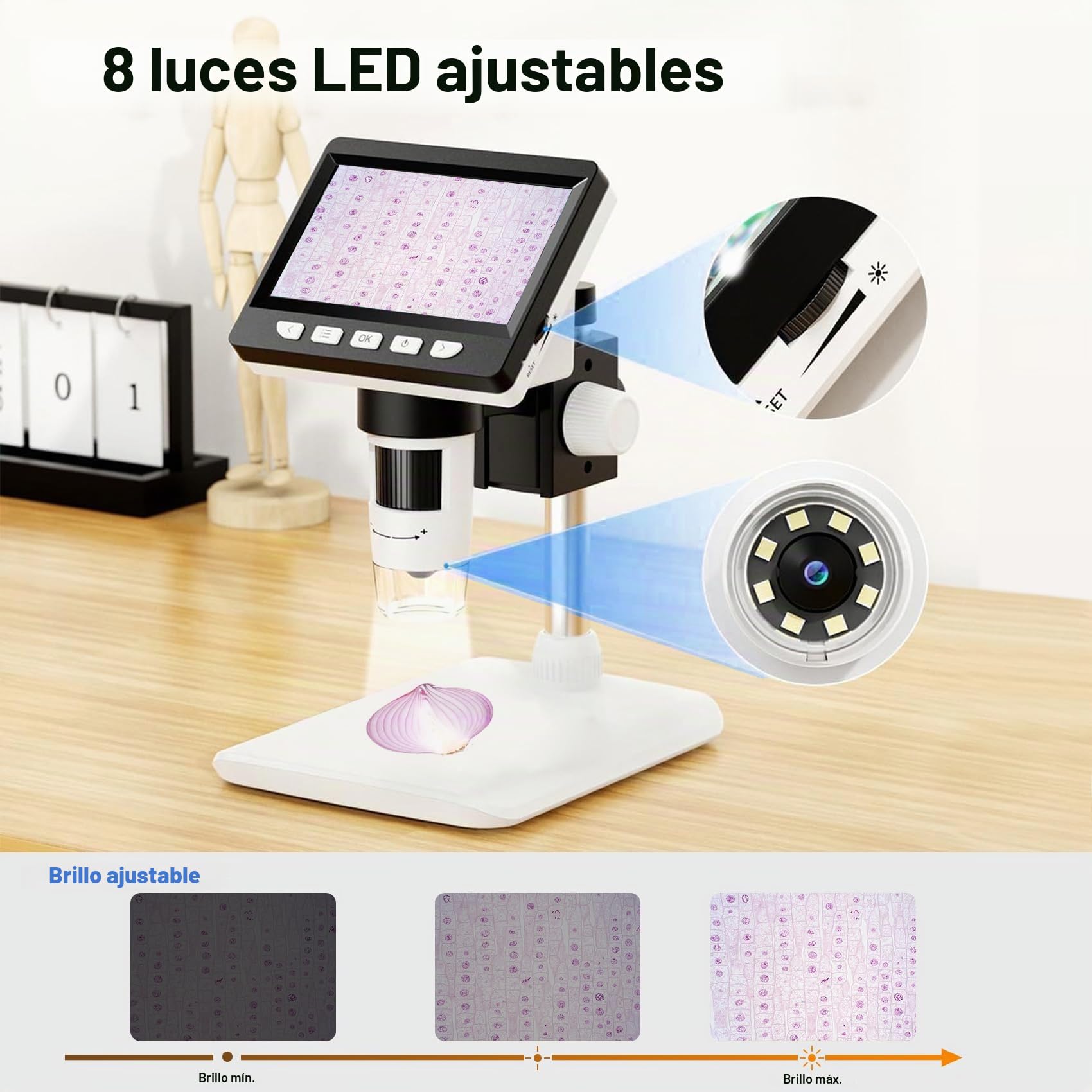 Microscopio Digital Portátil Adultos, 4.3 Pulgadas con 8 Luces LED Ajustables, Vista PC con 50-1000X Aumentos, Compatible con MacOS/Windows