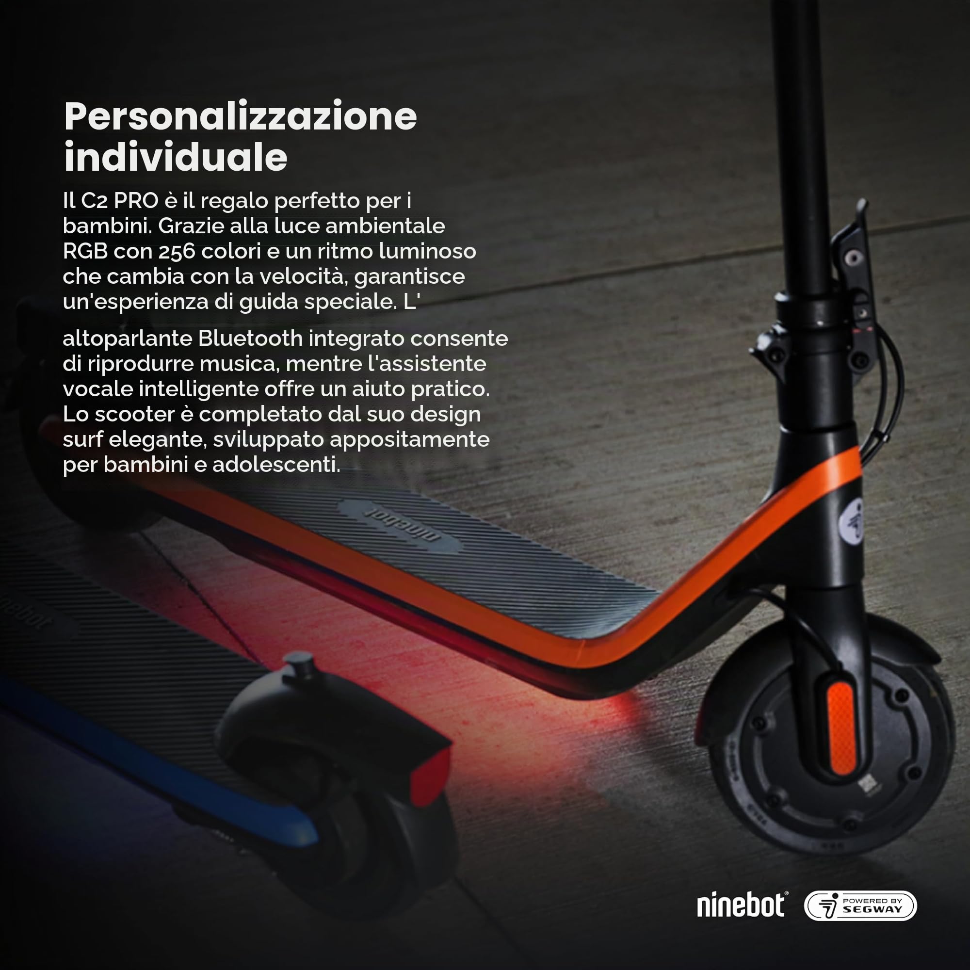 Segway-Ninebot C2