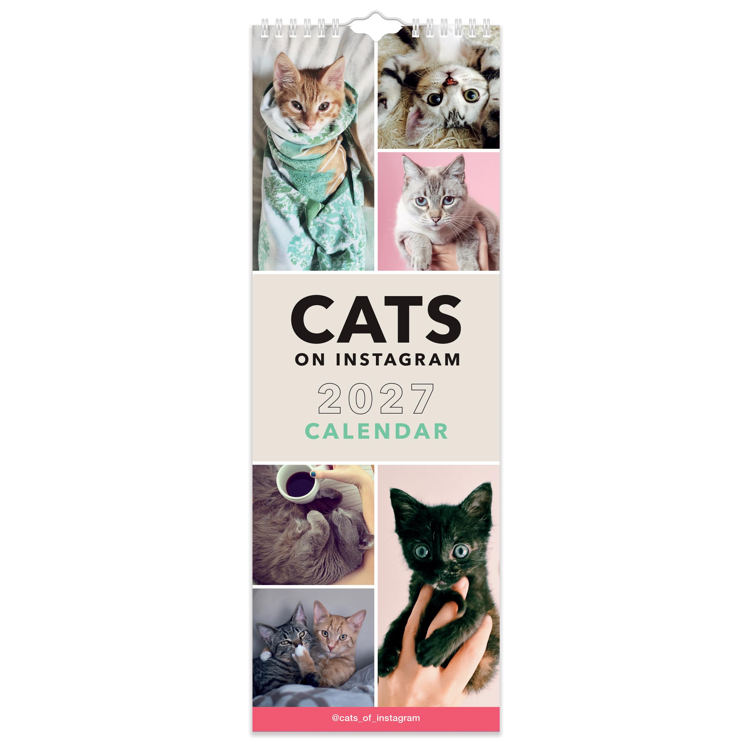 2027 Cats on Instagram Slim Calendar