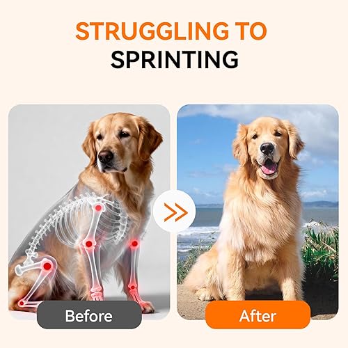 Miniatura 7 de Suplemento de cadera y articulaciones para perros y gatos con colágeno, glucosamina, condroitina, MSM, alivio del dolor en las articulaciones del