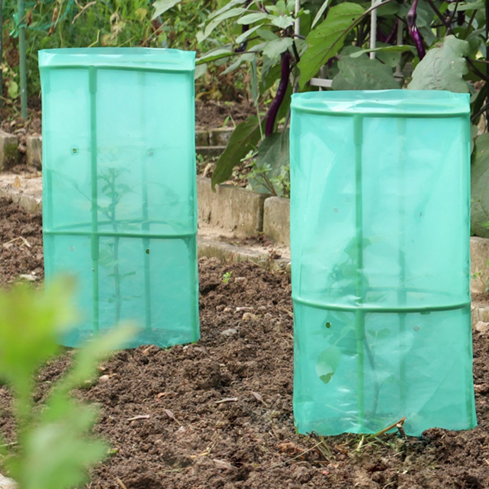 Protège-de Jardin Cages Protection Garde